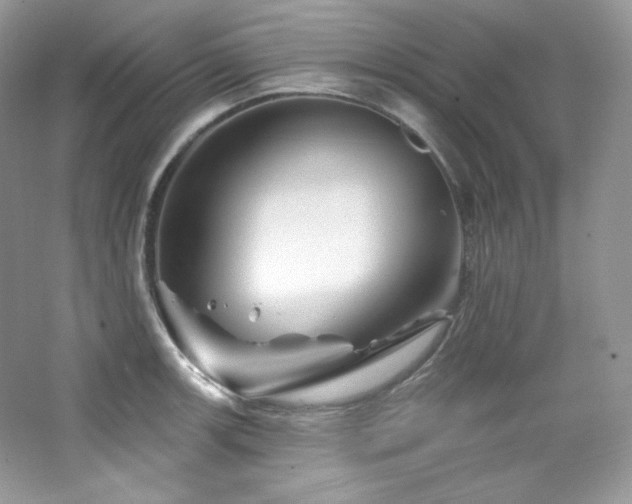 X0000065261139200602171447