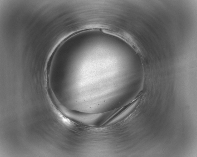 X0000065261140200602171447