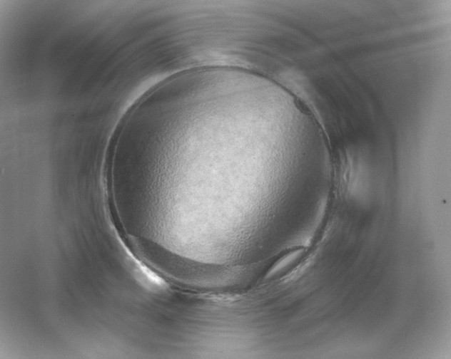 X0000065261141200602171447