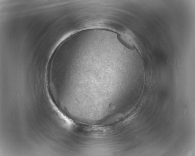 X0000065261142200602171447