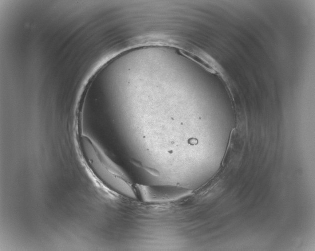 X0000065261144200602171448