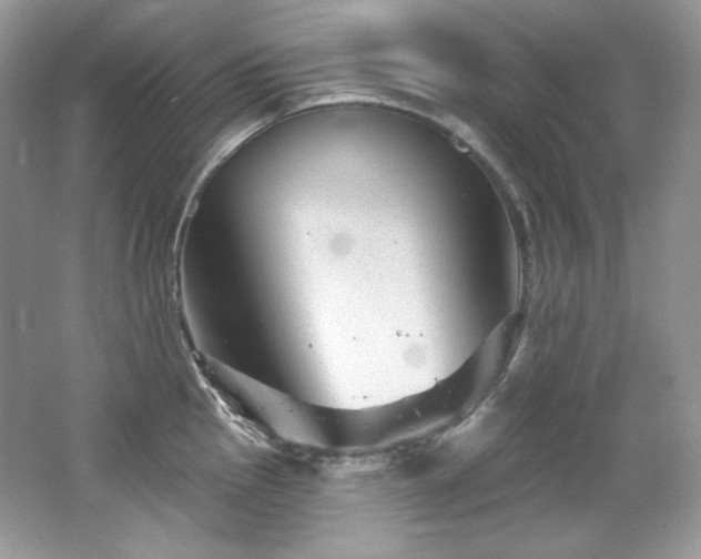 X0000065261145200602171448