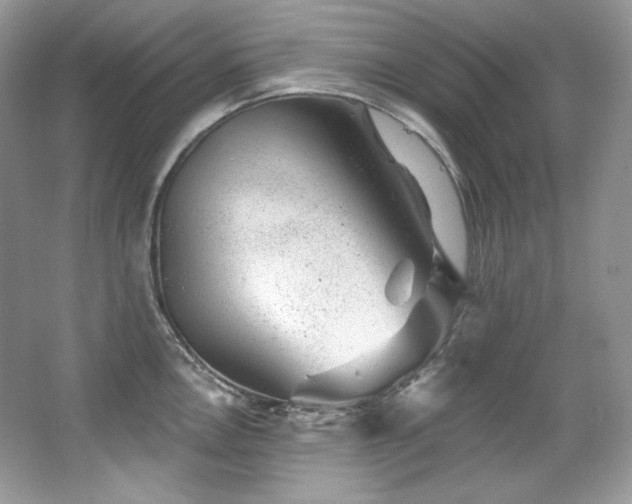 X0000065261146200602171448