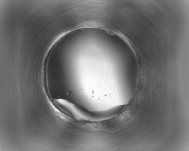 X0000065261147200602171448