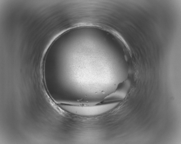 X0000065261148200602171448