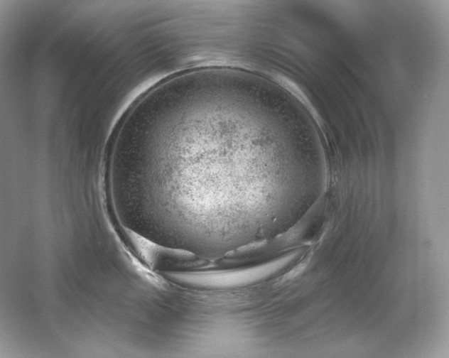 X0000065261149200602171448