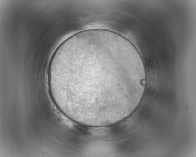 X0000065261150200602171448