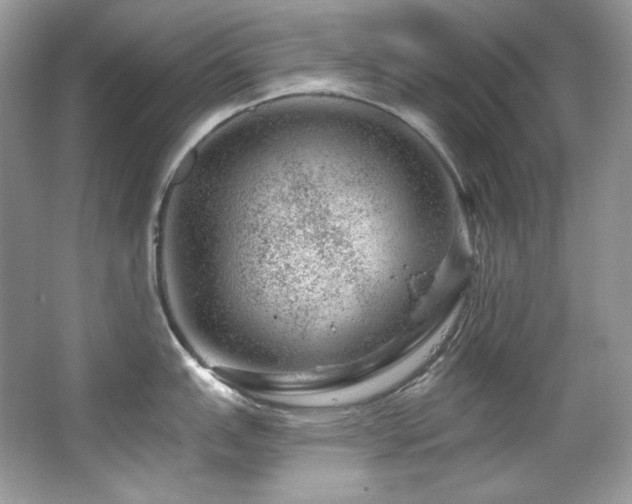 X0000065261151200602171448