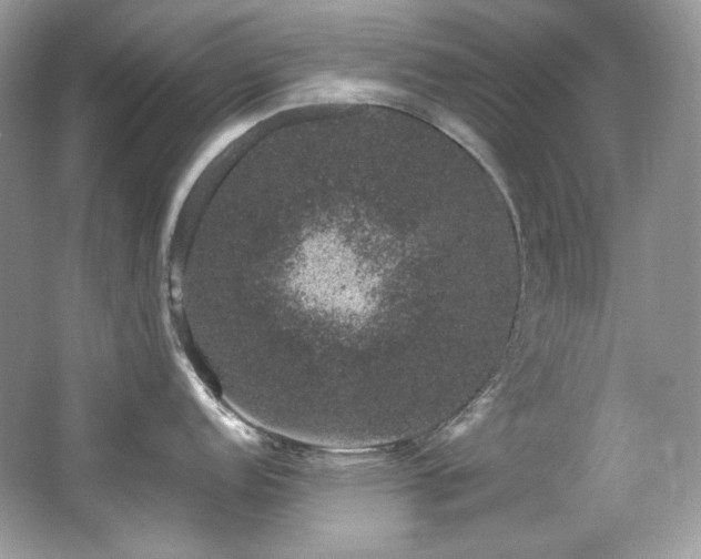 X0000065261152200602171448