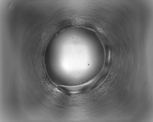 X0000065261153200602171447