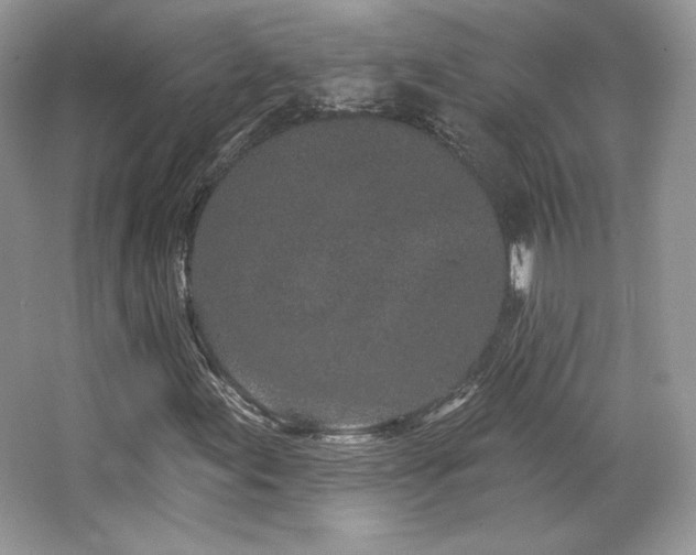 X0000065261155200602171447