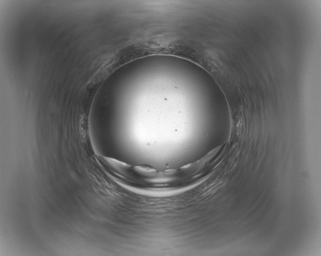 X0000065261156200602171447