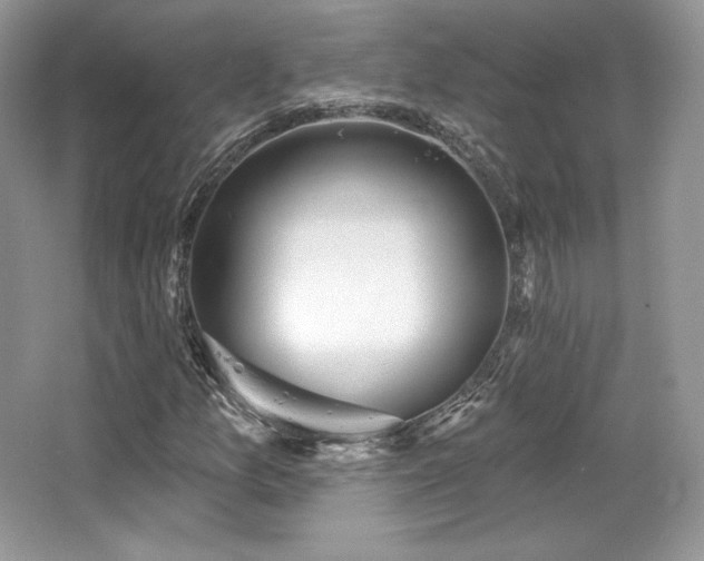 X0000065261157200602171447