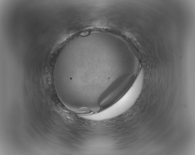 X0000065261159200602171447