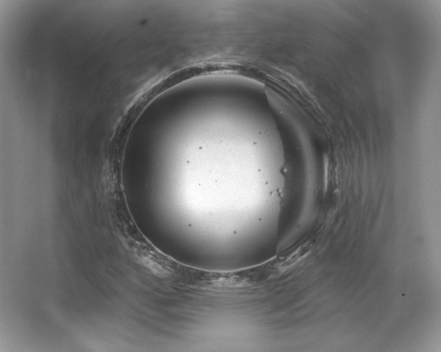 X0000065261160200602171447