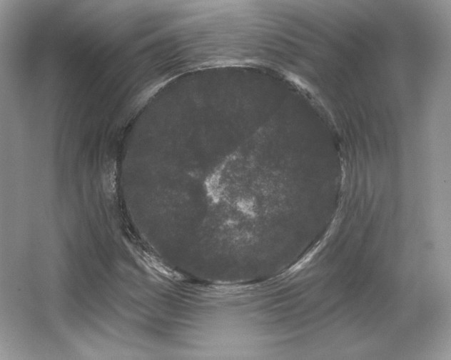 X0000065261161200602171447