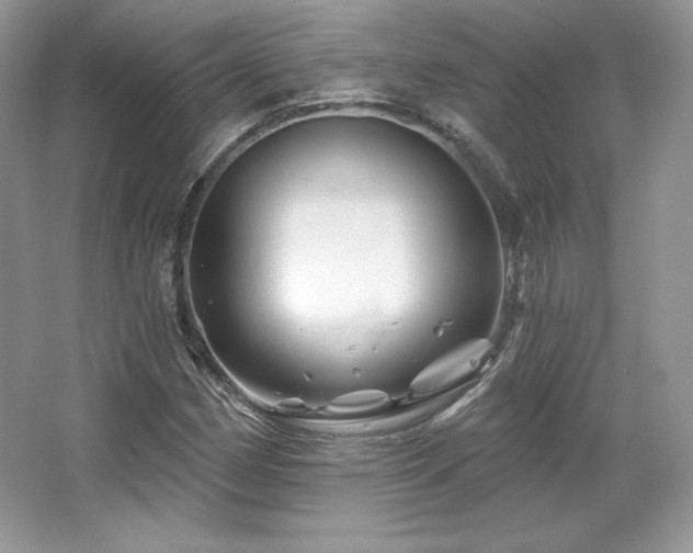 X0000065261162200602171447