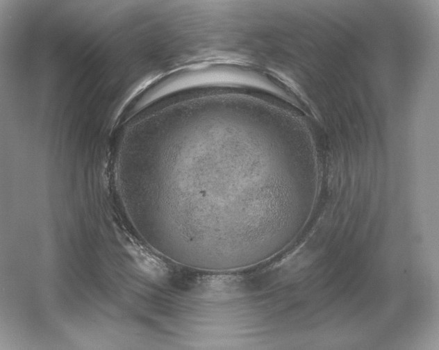 X0000065261163200602171447