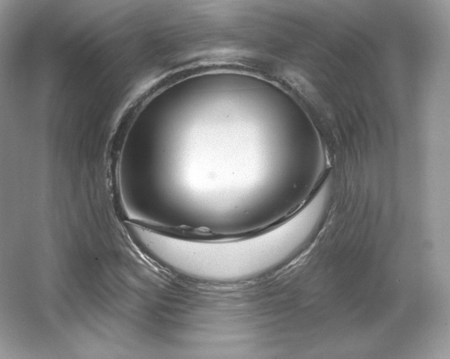 X0000065261164200602171447