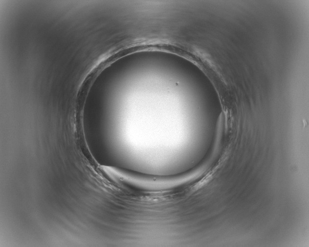 X0000065261165200602171447