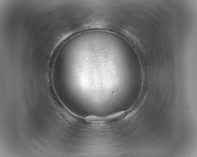 X0000065261166200602171447