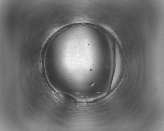 X0000065261167200602171447