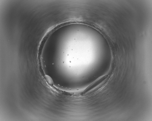 X0000065261168200602171447