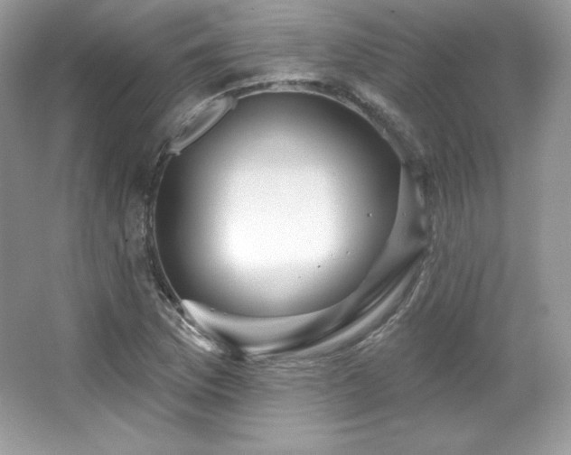 X0000065261169200602171447