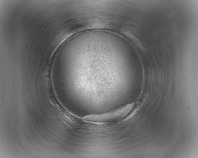 X0000065261170200602171447