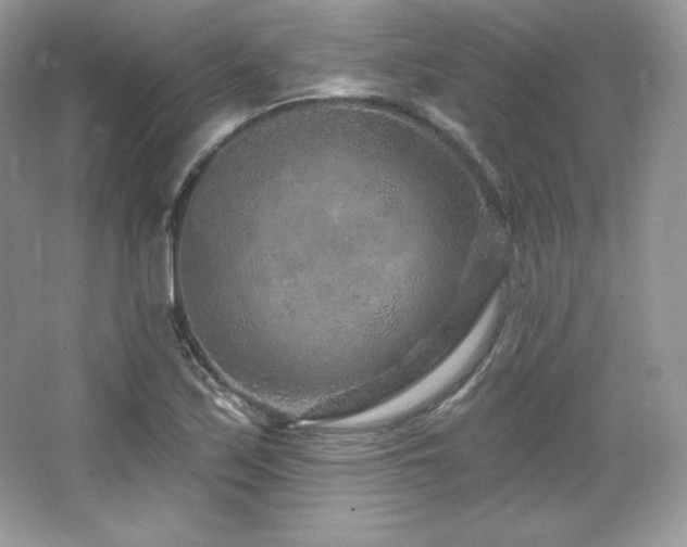 X0000065261171200602171446