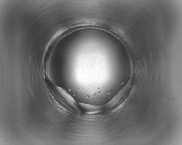 X0000065261172200602171446