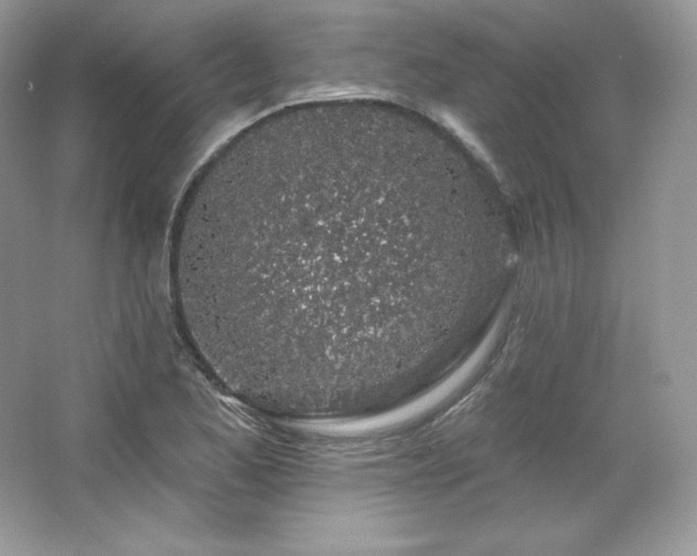 X0000065261173200602171446