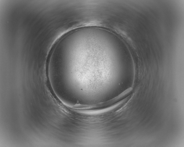 X0000065261174200602171446