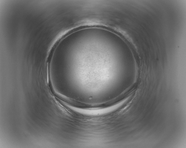 X0000065261175200602171446