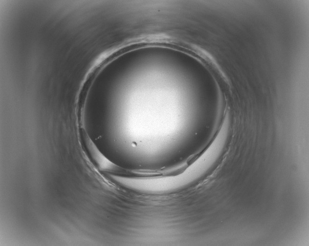 X0000065261176200602171446