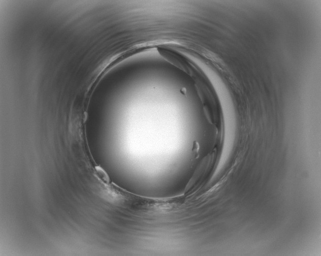 X0000065261177200602171446