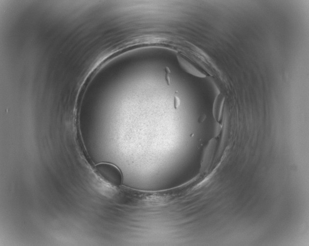 X0000065261178200602171446