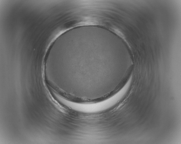 X0000065261179200602171446