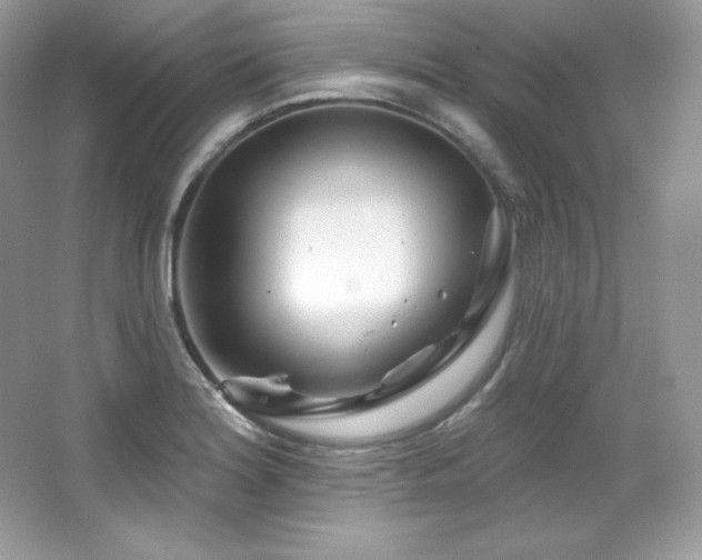 X0000065261180200602171446