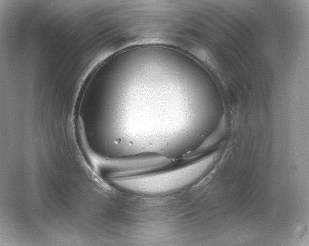 X0000065261181200602171446