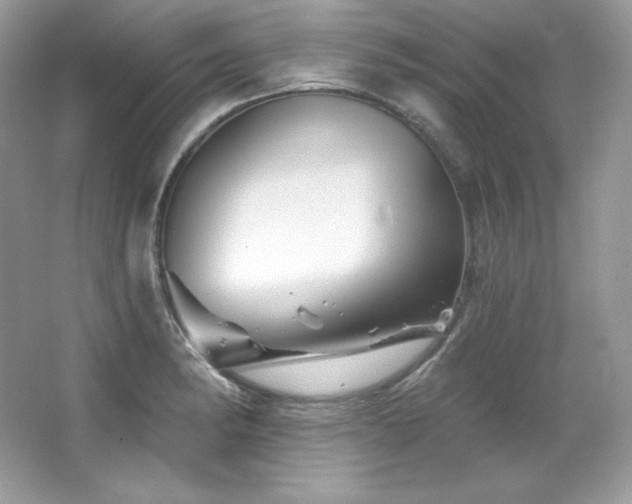 X0000065261182200602171446