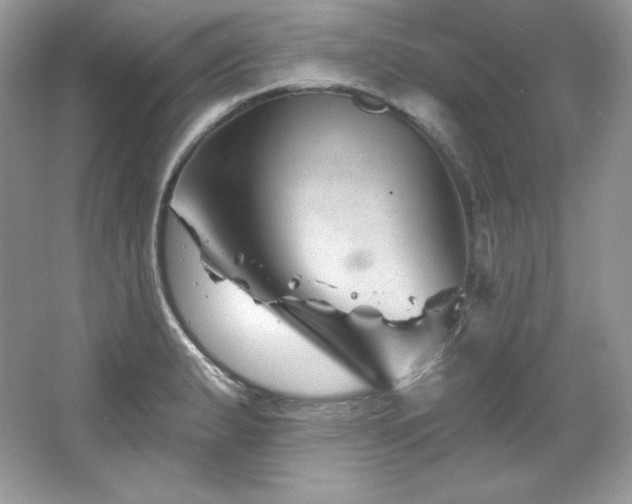 X0000065261183200602171446