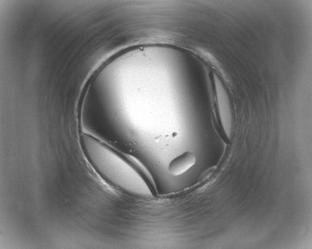 X0000065261184200602171446