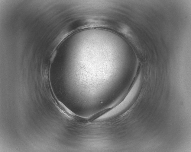 X0000065261185200602171446