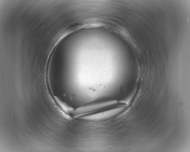 X0000065261186200602171446