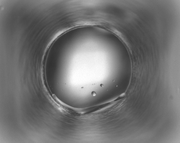 X0000065261187200602171446