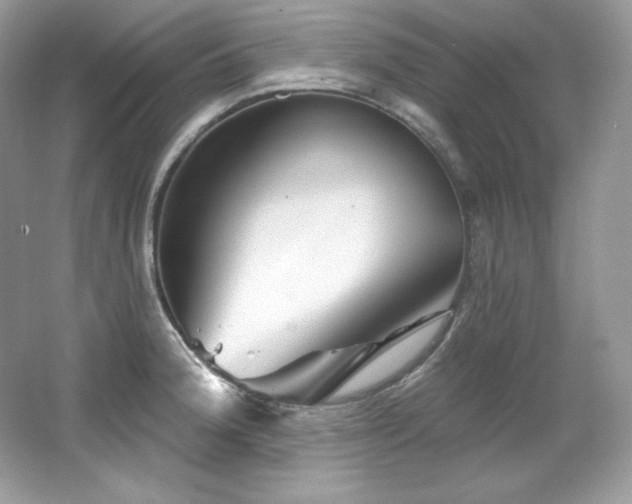 X0000065261188200602171446