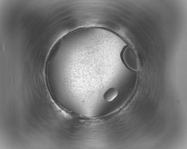 X0000065261189200602171446