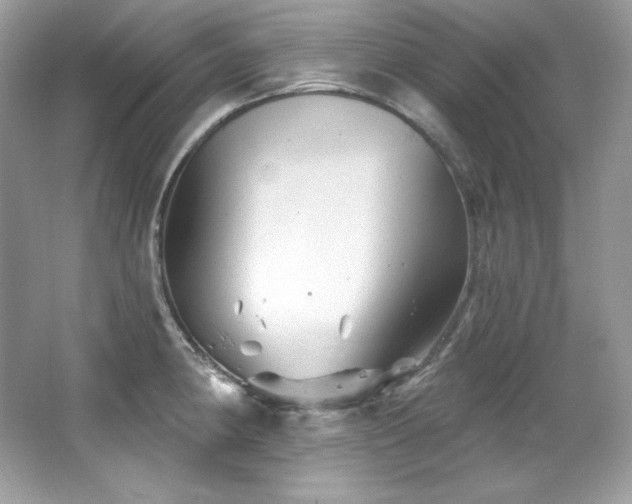 X0000065261190200602171446