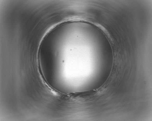 X0000065261191200602171446